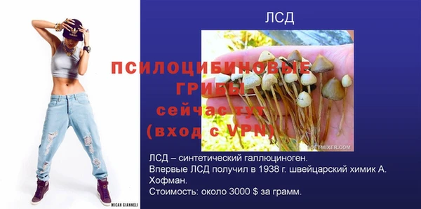 соль ск Богородицк