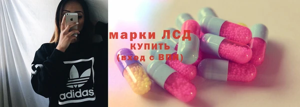 сатива Богданович