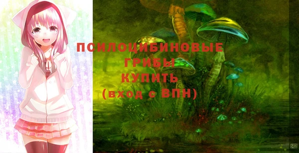 соль ск Богородицк