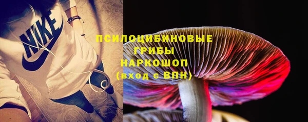 jwh Осинники