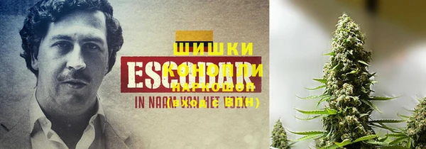 jwh Осинники